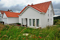 Zusmarshausen, Lkr. Augsburg Land: Point 166 auf Glatthaar Bodenplatte, 2015